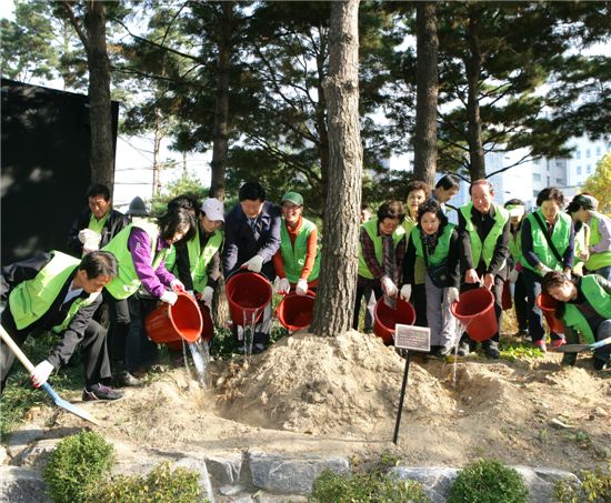 서울 중구청, 소나무 은행나무에 비료 뿌려 
