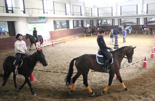 [주말레이싱] 승마장, 골프장 만큼 많아질까