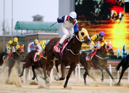 [주말레이싱] 조인권 기수와 호흡 돋보이는 '필두' 주목