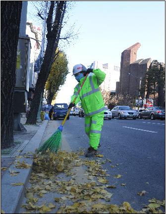 서울 중구, 은행잎 등 낙엽 농가 퇴비로 재활용