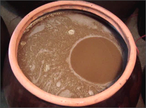 굶으며 살빼기 NO... 효소 다이어트가 뜬다