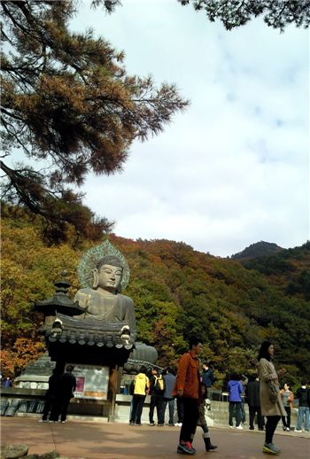 [여행]속타니? 붉은 여인아 구름안개의 애무