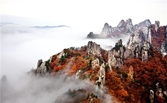 [여행]속타니? 붉은 여인아 구름안개의 애무