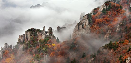 [여행]속타니? 붉은 여인아 구름안개의 애무