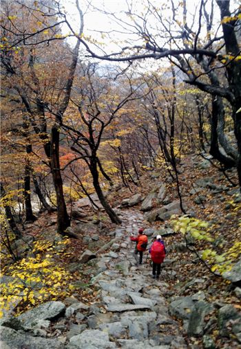 [여행]속타니? 붉은 여인아 구름안개의 애무