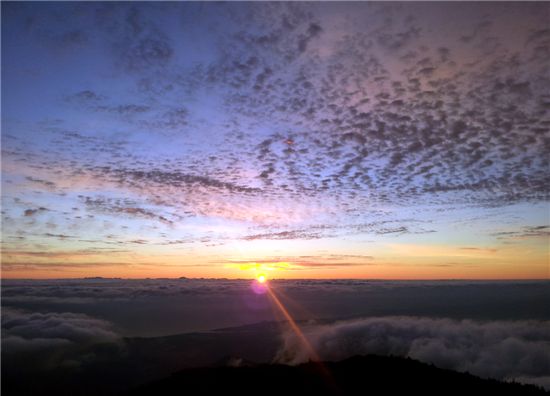 [여행]속타니? 붉은 여인아 구름안개의 애무