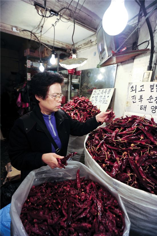 올 김장 양념값이 기가 막혀...주부들 ‘근심’ 한아름