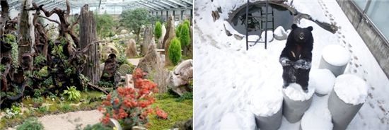 베어트리파크 계절 따라 즐기기..겨울엔 만경비원