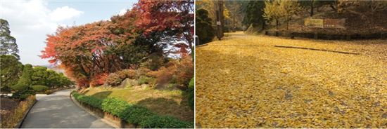베어트리파크 계절 따라 즐기기..겨울엔 만경비원