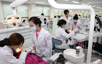 생명 보건 복지 특성화 학과 개설대학 인기몰이 