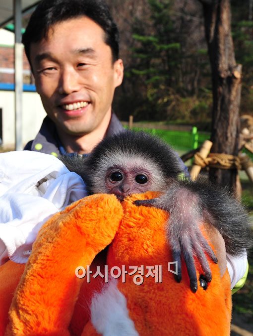[포토] '서울동물원 최고 귀염둥이!'
