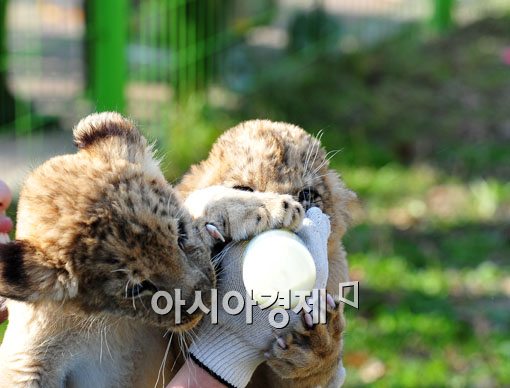 [포토] "같이 먹자고~"