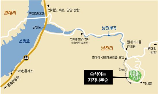 [여행]白白한 그리움···순백의 알몸속을 걷는다