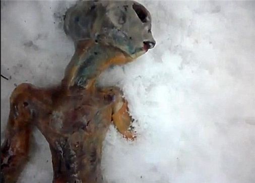 "외계인 사체, 냉장고에 2년 보관했다"