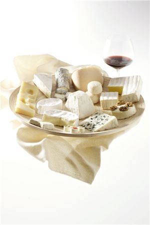 【스타일 기획】와인, 치즈 씹는 맛 따진다