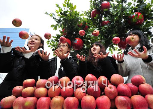 [포토] 서울시민이 즐기는 청송사과축제