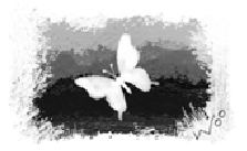 [아, 저詩]김기림 '바다와 나비' 