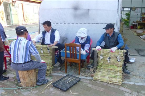 도봉구, 수목 보호 위한 친환경 제설제 차단막 제작