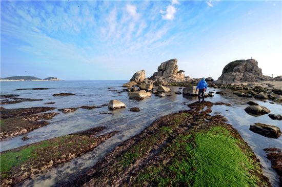 공현진항의 스뭇개바위앞의 물이끼