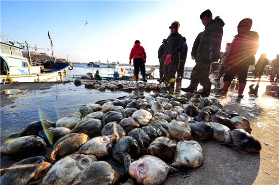 [여행]해를 보내며 해를 만나다 