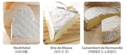 【스타일 에필로그】누가 가르쳐주지 않는 치즈 이야기