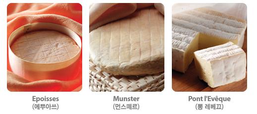 【스타일 에필로그】누가 가르쳐주지 않는 치즈 이야기