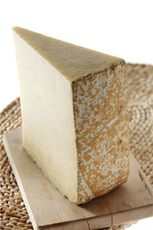 치즈와 친해지는 도구들