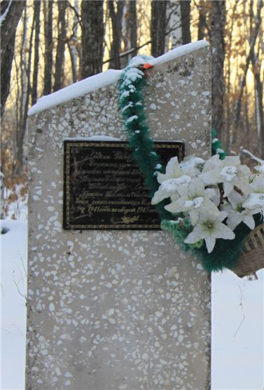 김정일고향은 백두산 아닌 소련