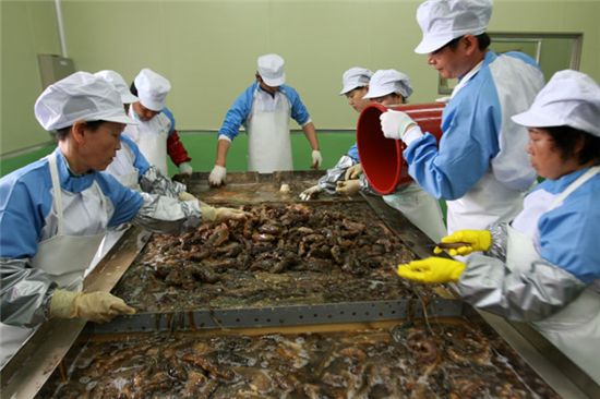 바다의 삼(蔘) ‘해삼’, 맛있는 변신