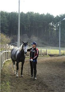 [말산업이 뜬다]“말과 사랑에 빠졌더니 고수익도 따라 오데요”