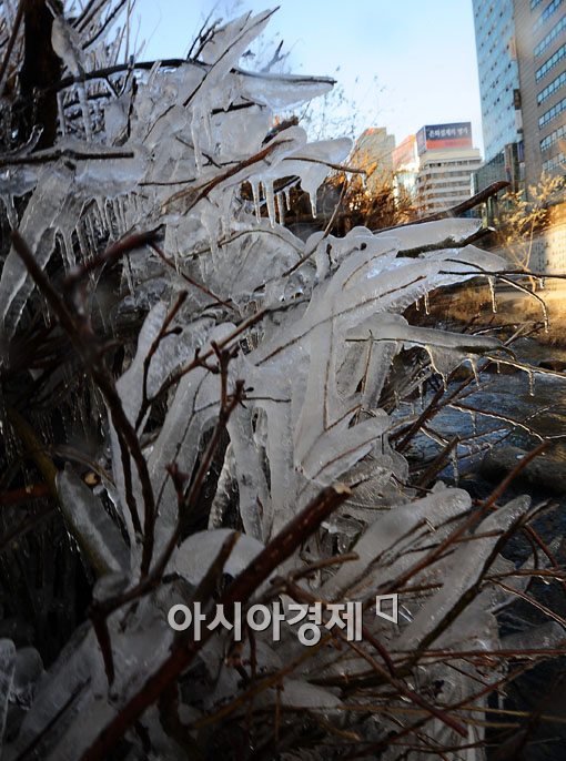 [포토] 청계천에 활짝 핀 얼음꽃