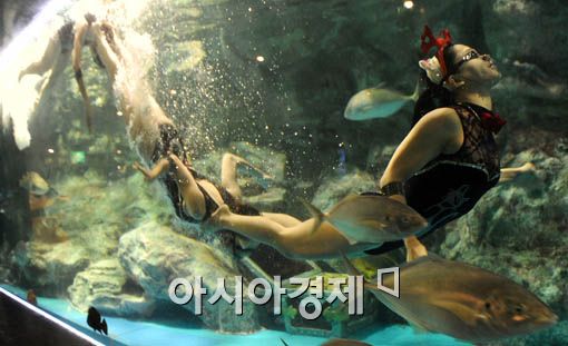 [포토] '물 속의 흑룡'