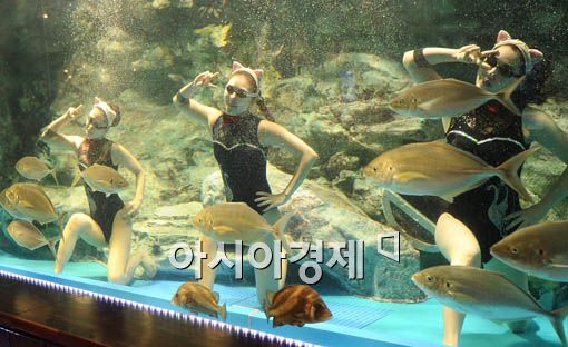 [포토] '물고기와 함께 찰칵'