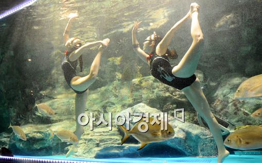 [포토] '꿈 속의 수중발레'