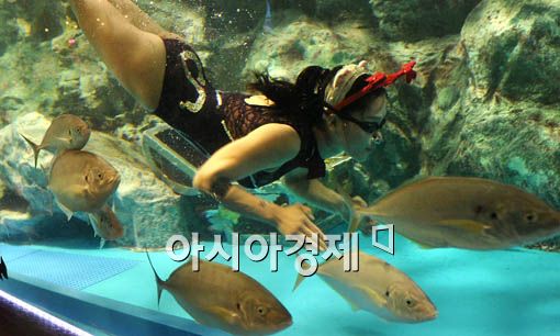 [포토] '한 마리 물고기처럼'
