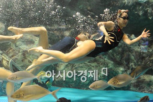 [포토] '늘씬한 인어들이 여기에'
