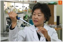 인삼다당체 "진산" 항암 효과에 탁월