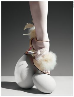 브랜드의 기록, '컬렉션 북' 