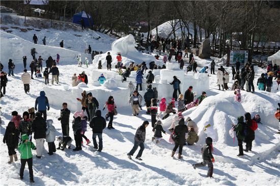 [여행]눈으로 말해요~ 2012 태백산눈축제