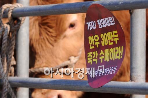 [포토] 풀어 주소