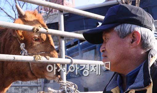 [포토] 깊어가는 시름