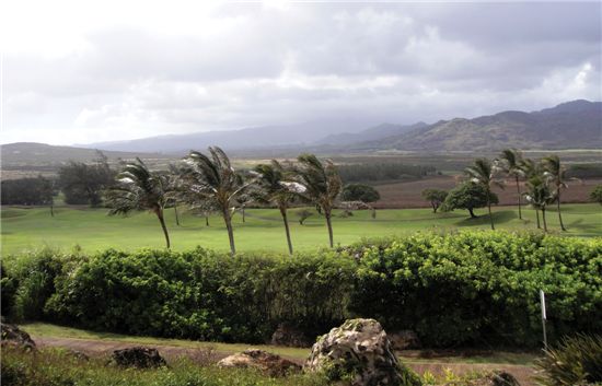 ‘바람 탓’ 벌타 더 이상 없다