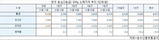 서울광장서 13~14일 한우 직거래장터 열려