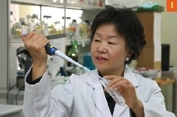 암극복의 새희망, 인삼 다당체 ‘진산’ 