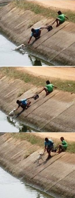 (출처 : 온라인커뮤니티 뽐뿌 게시판)
