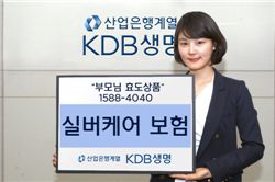 설 연휴 챙겨볼만한 실속 보험상품은   