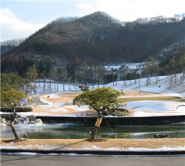 골프장, 설연휴에도 47곳 '정상영업'