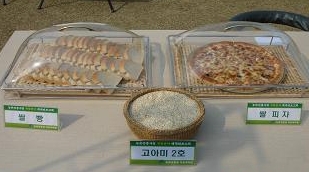 [쌀의 진화②] 다이어트 내게 맞겨라 '고아미 2호'