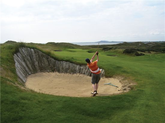 얄미운 놈… 불편한 놈… 억지 부리는 놈…