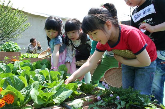 서울시 농업기술센터 옥상에 있는 '옥상텃밭'에서 아이들이 쌈채소 수확체험을 하고 있다. 
